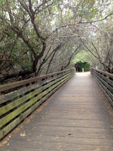 Islay Park Bridge