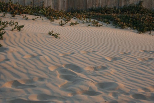 sand footprints