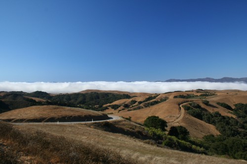 prefumo canyon road and fog